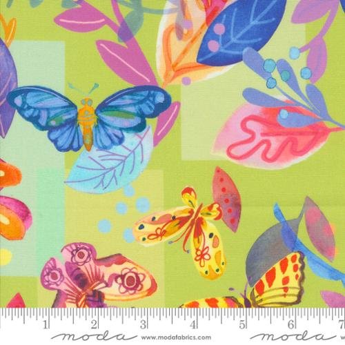 Flower Patches Butterfly Meander Limeade