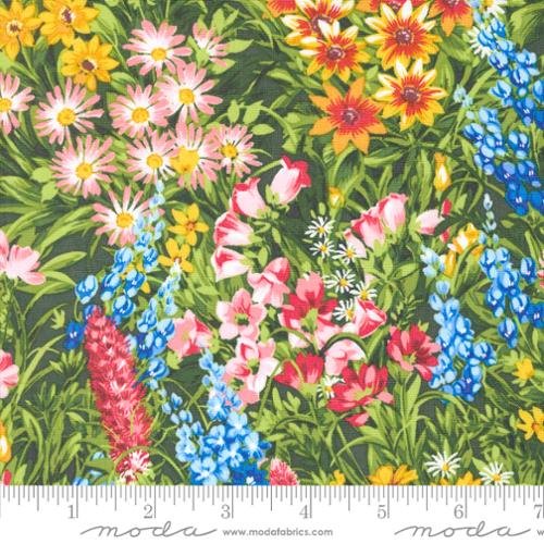 Wildflowers 2024 Field of Flowers Meadow
