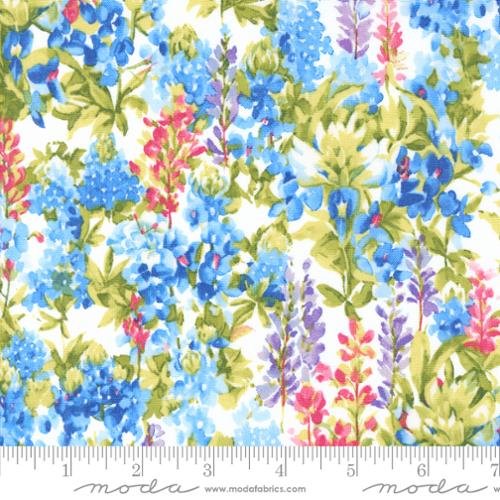 Wildflowers 2024 Bluebonnets Cloud