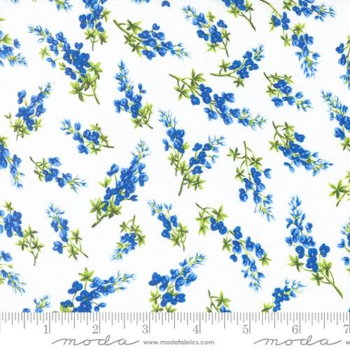 Wildflowers 2024 Bluebonnet Toss Cloud