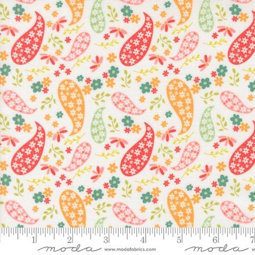 Raspberry Summer Paisley Cloud