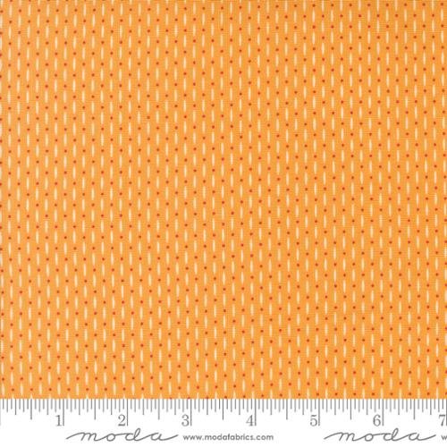 Raspberry Summer Beaded Blender Apricot