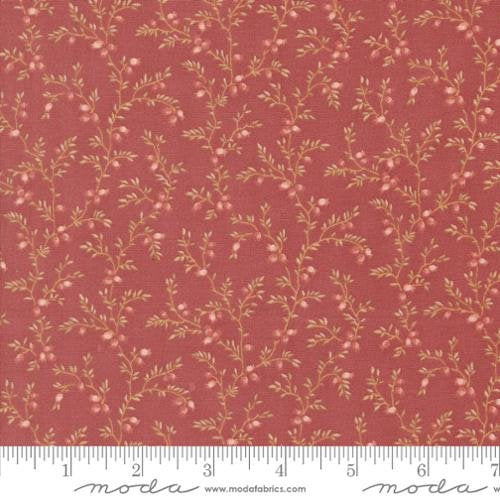 Sandalwood Liana Vine Rosewood