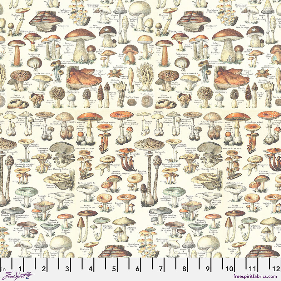 Orange - Toadstools Palette Orange