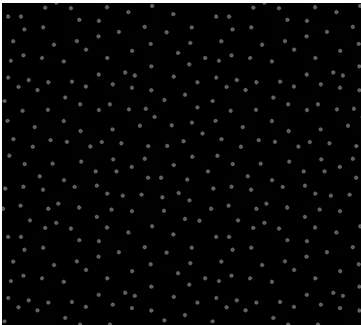 FIGO DUSK- Dotty Black/Gray