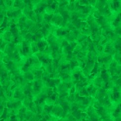 Color Dance Blender Green